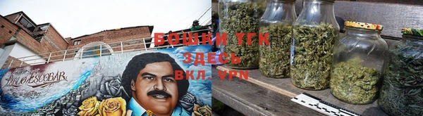 амф Сосновый Бор